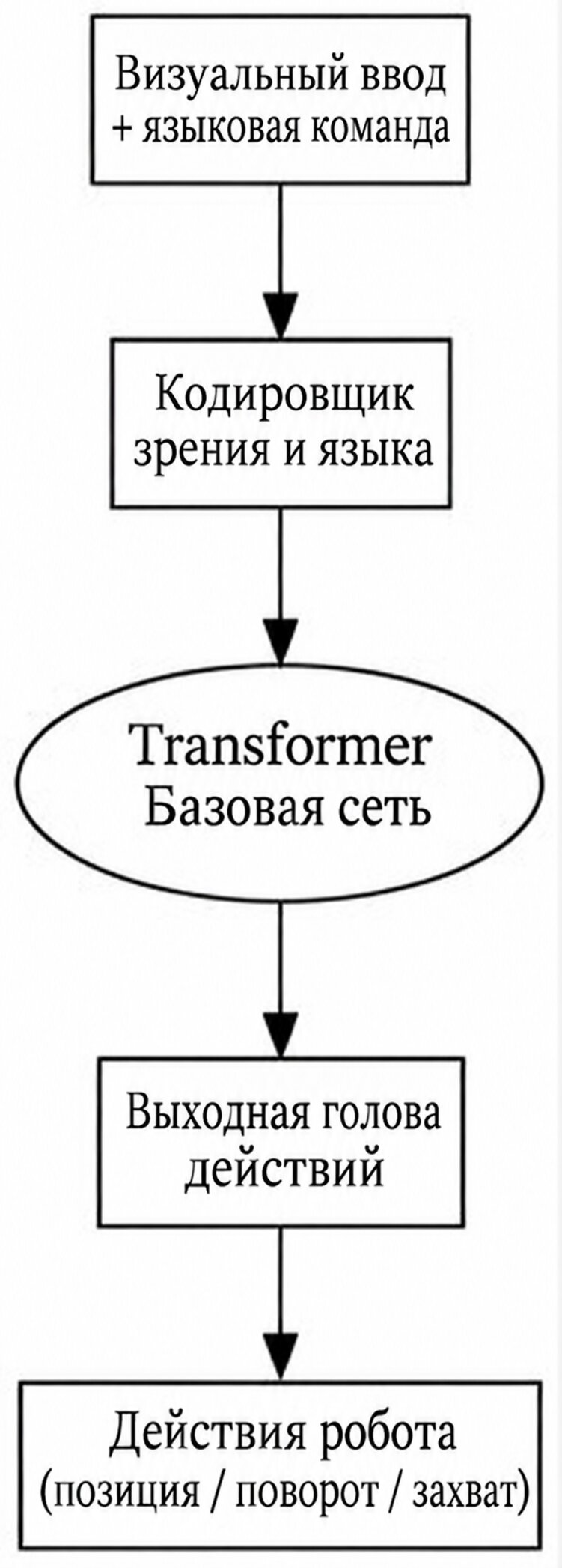 Архитектура модели VLA