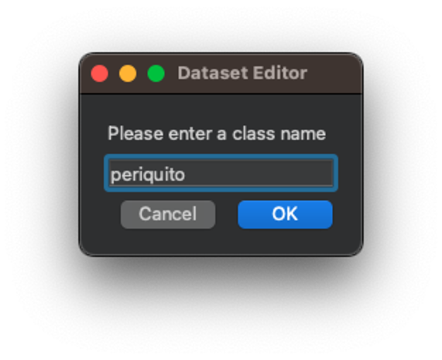 Ввод имени класса periquito в Dataset Editor