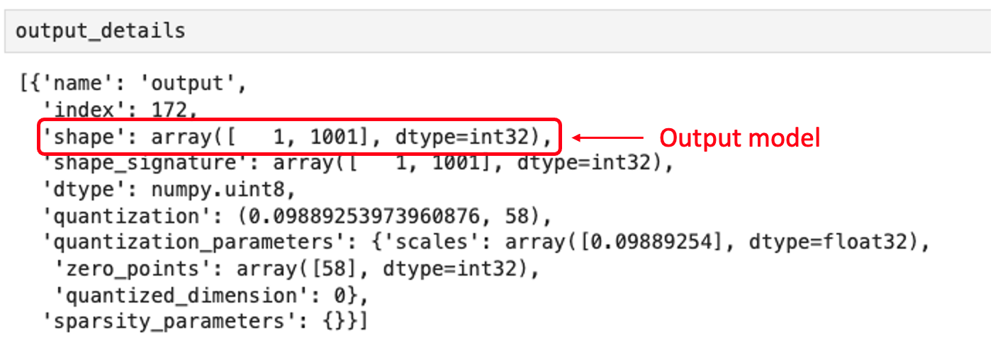 Вывод выходных данных модели (output details)