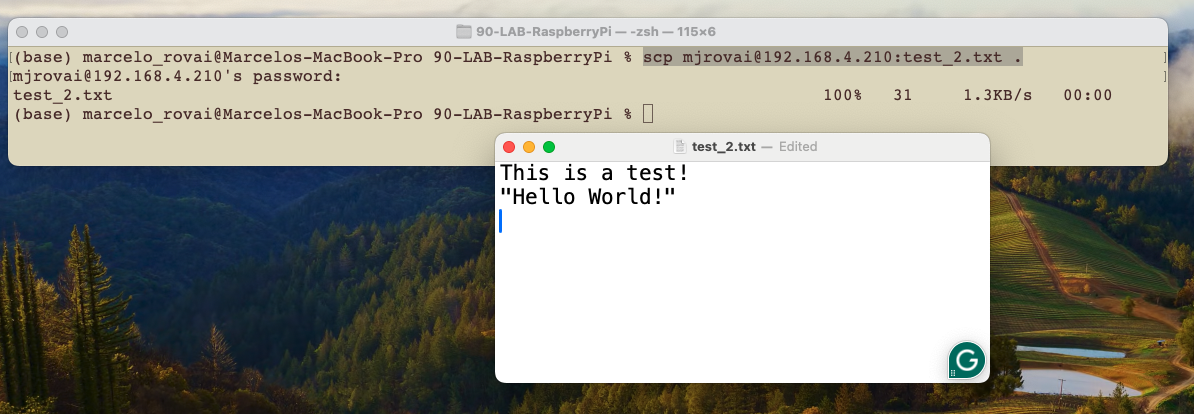 Копирование test_2.txt с Raspi на Mac