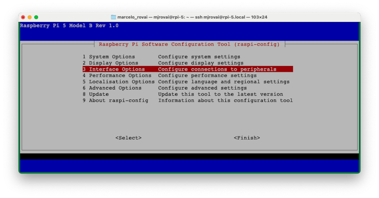 Пункт Interface Options в raspi-config
