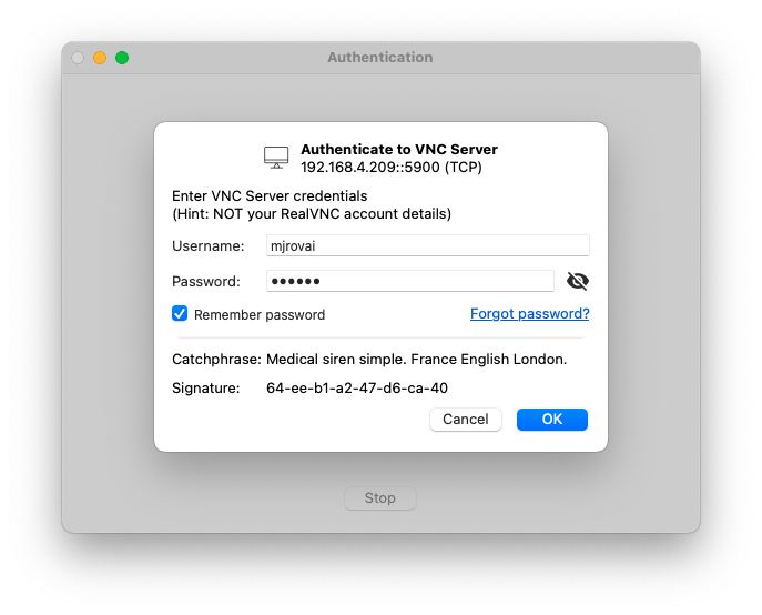 Запрос имени пользователя и пароля в VNC Viewer